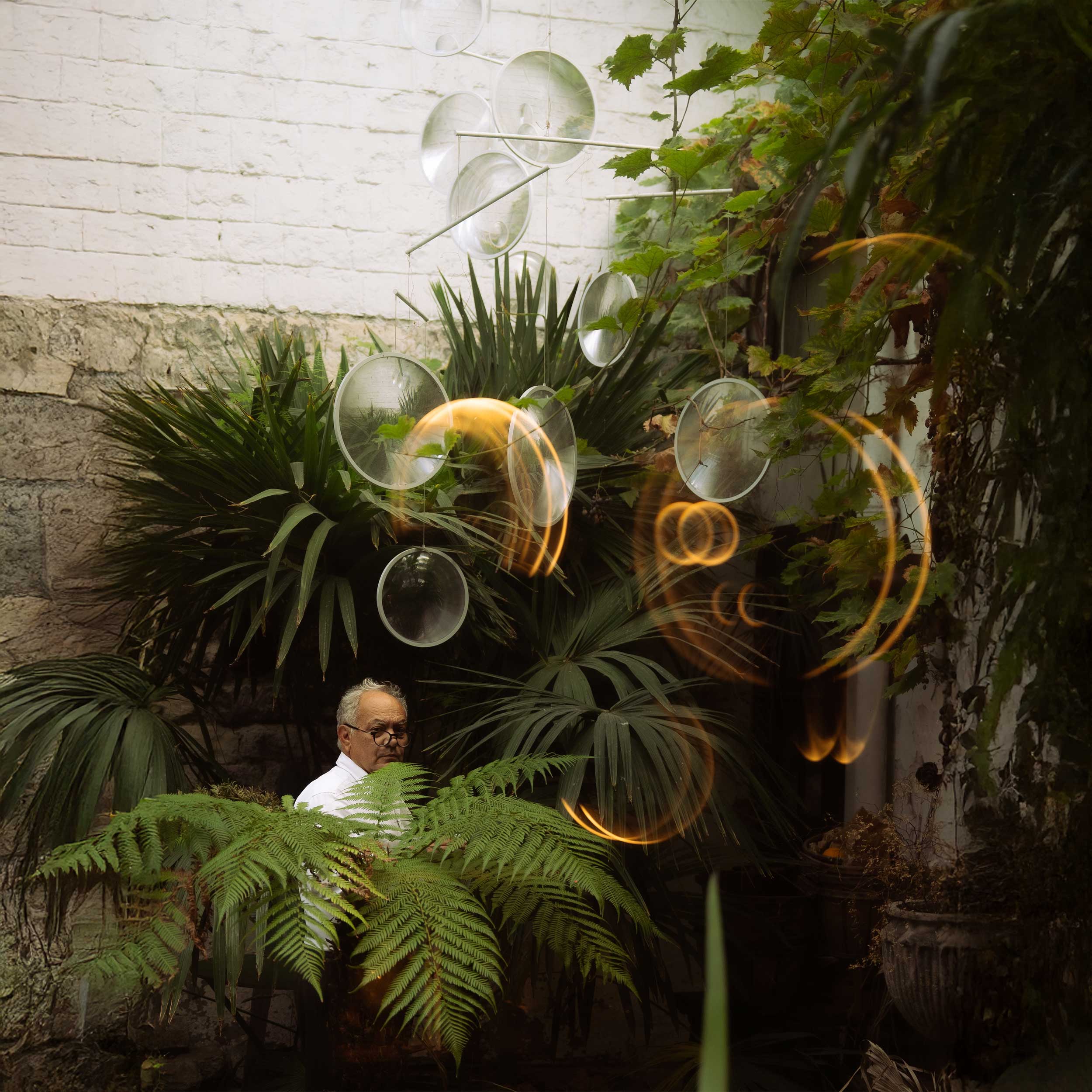 DCW éditions Focus LED viseća svjetiljka