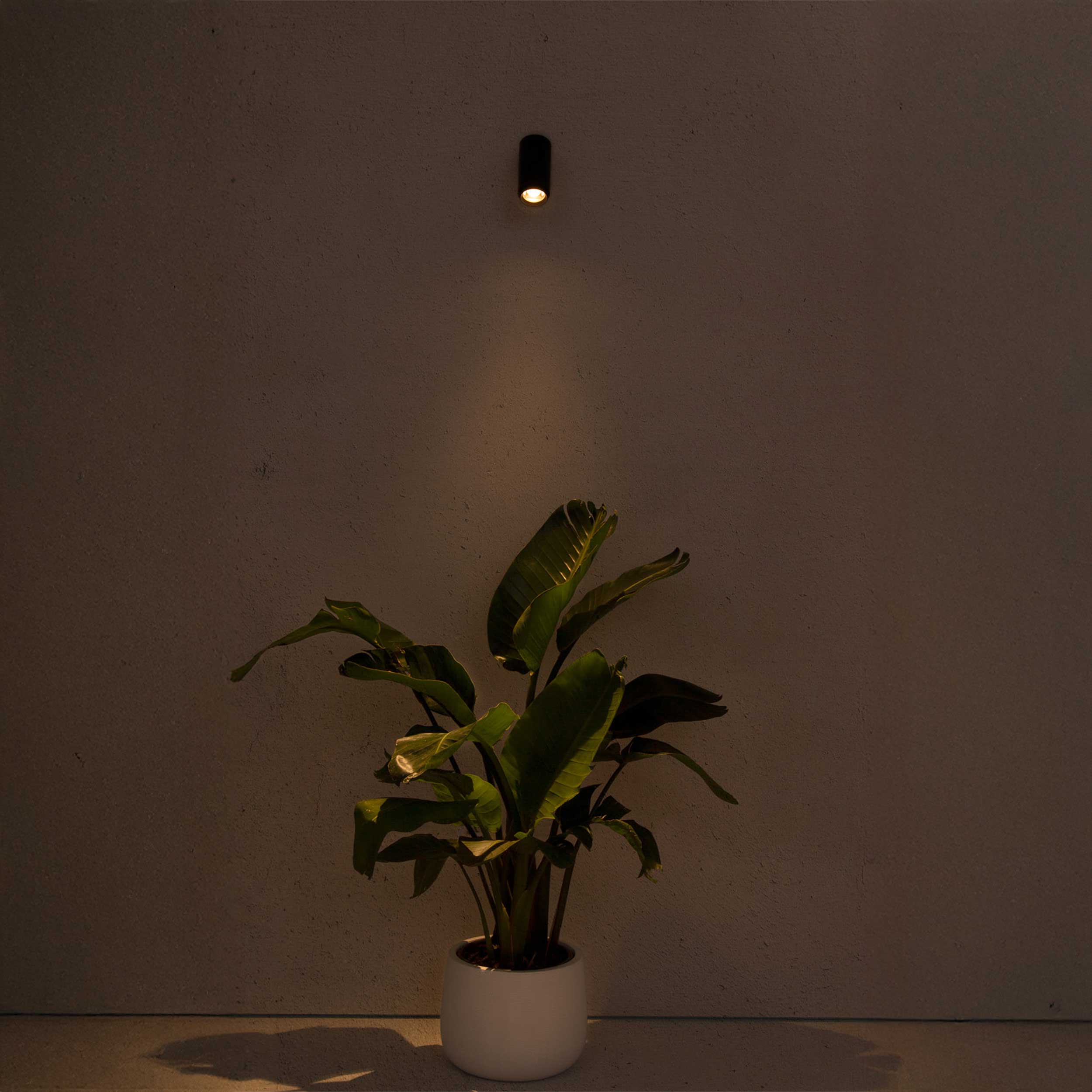 Faro Plom LED zidna vanjska podesiva svjetiljka IP64