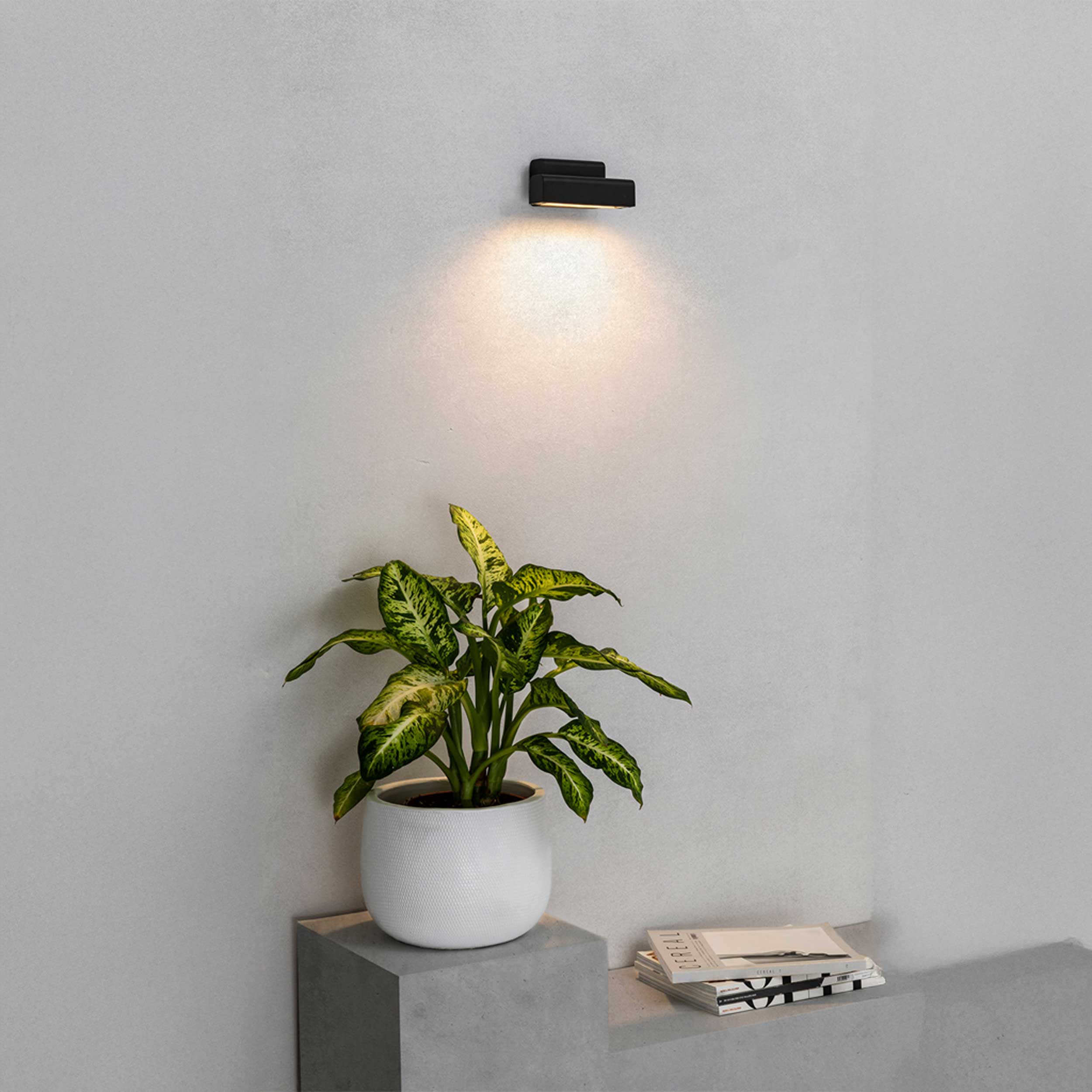 Faro Balic LED vanjska zidna svjetiljka IP65