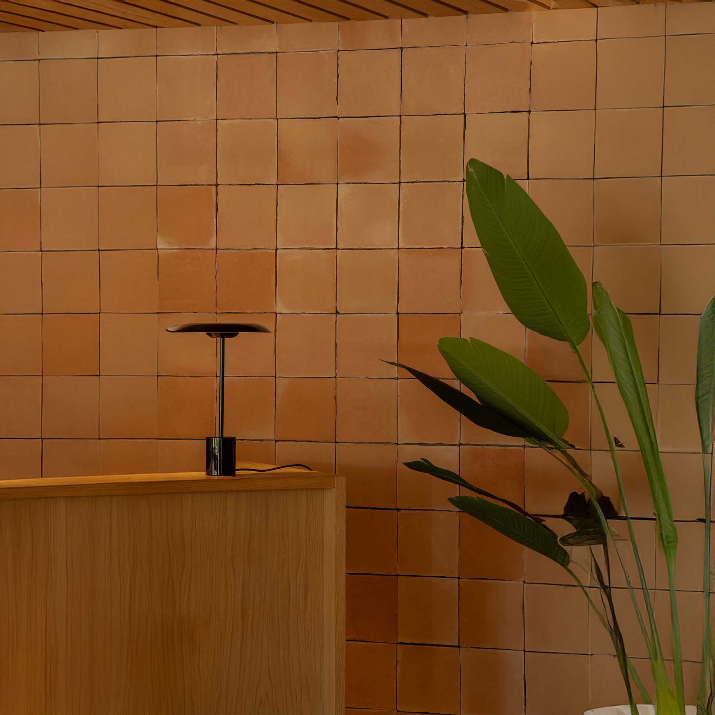 Faro Hoshi LED stolna lampa s prigušivanjem