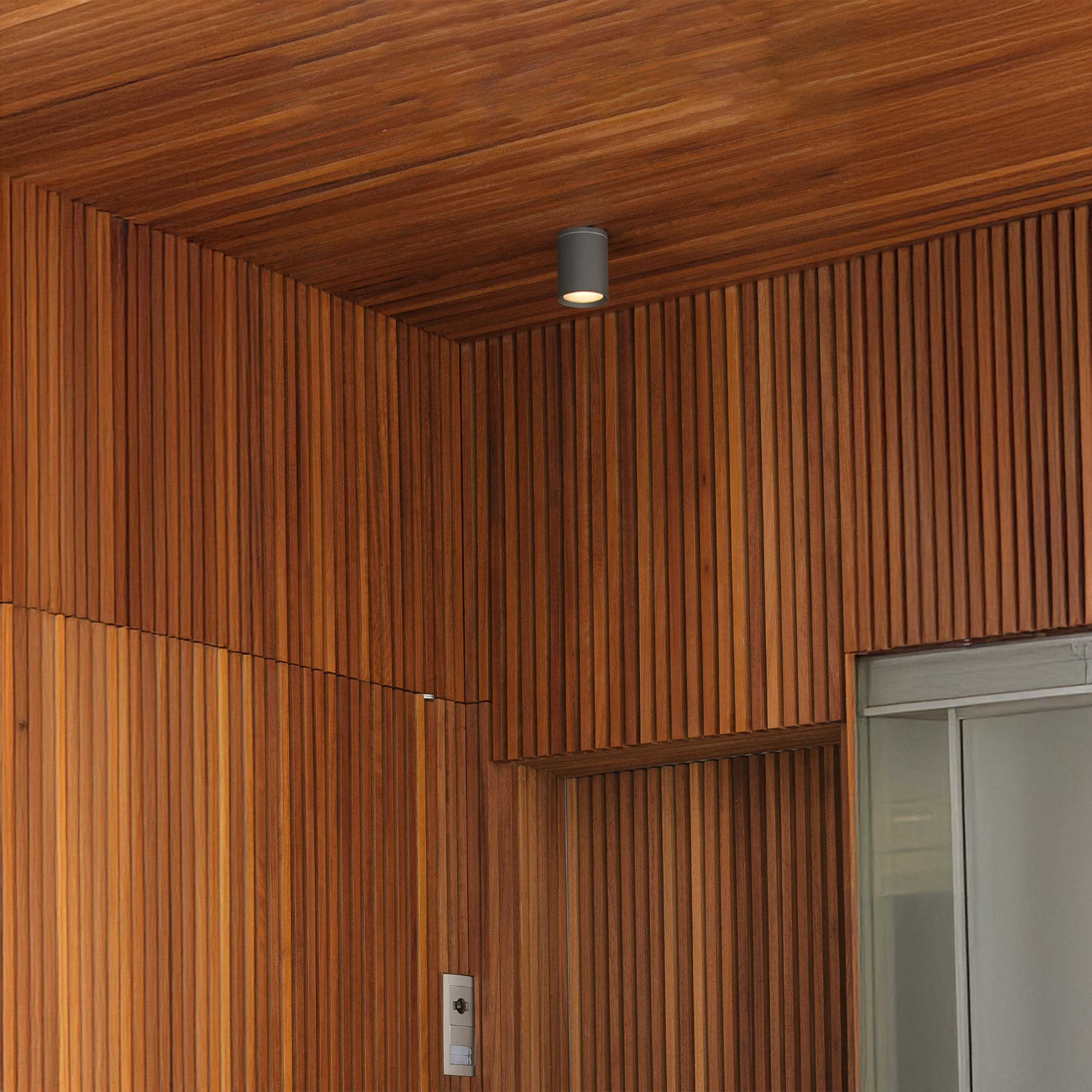 Faro Tasa E27 vanjska stropna svjetiljka IP44