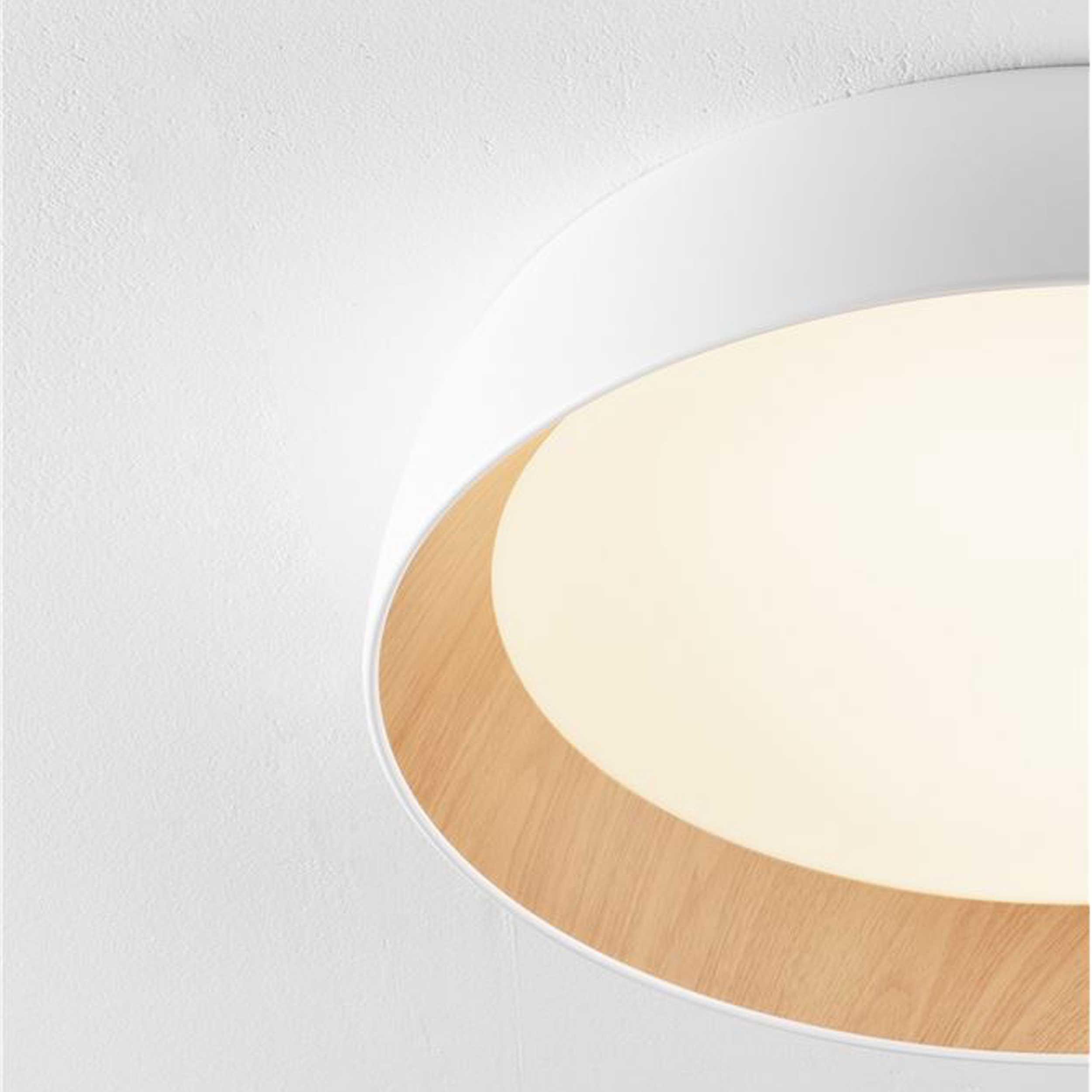 Nova Luce Sigi LED stropna svjetiljka