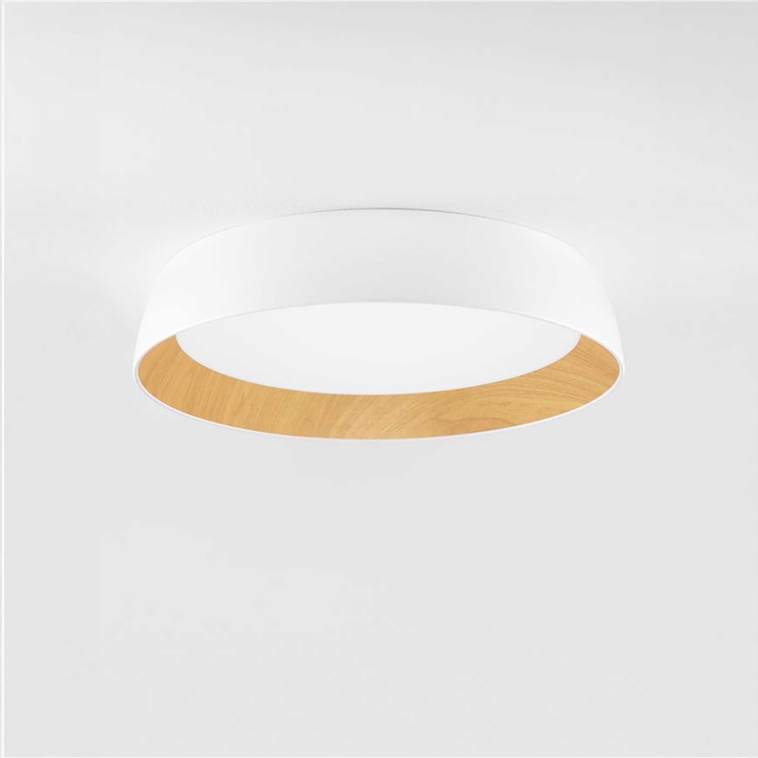 Nova Luce Sigi LED stropna svjetiljka