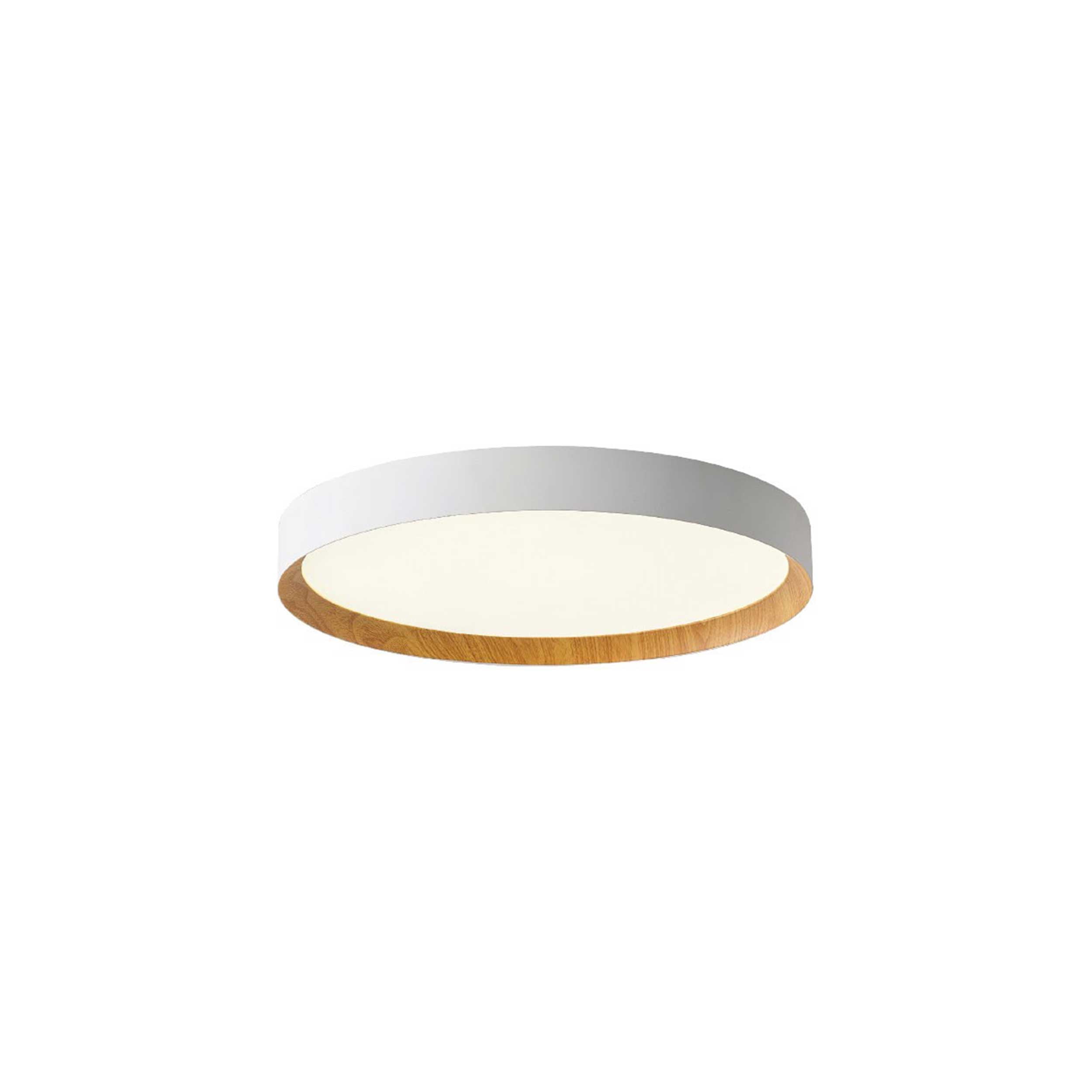 VK Light Eleso LED stropna svjetiljka