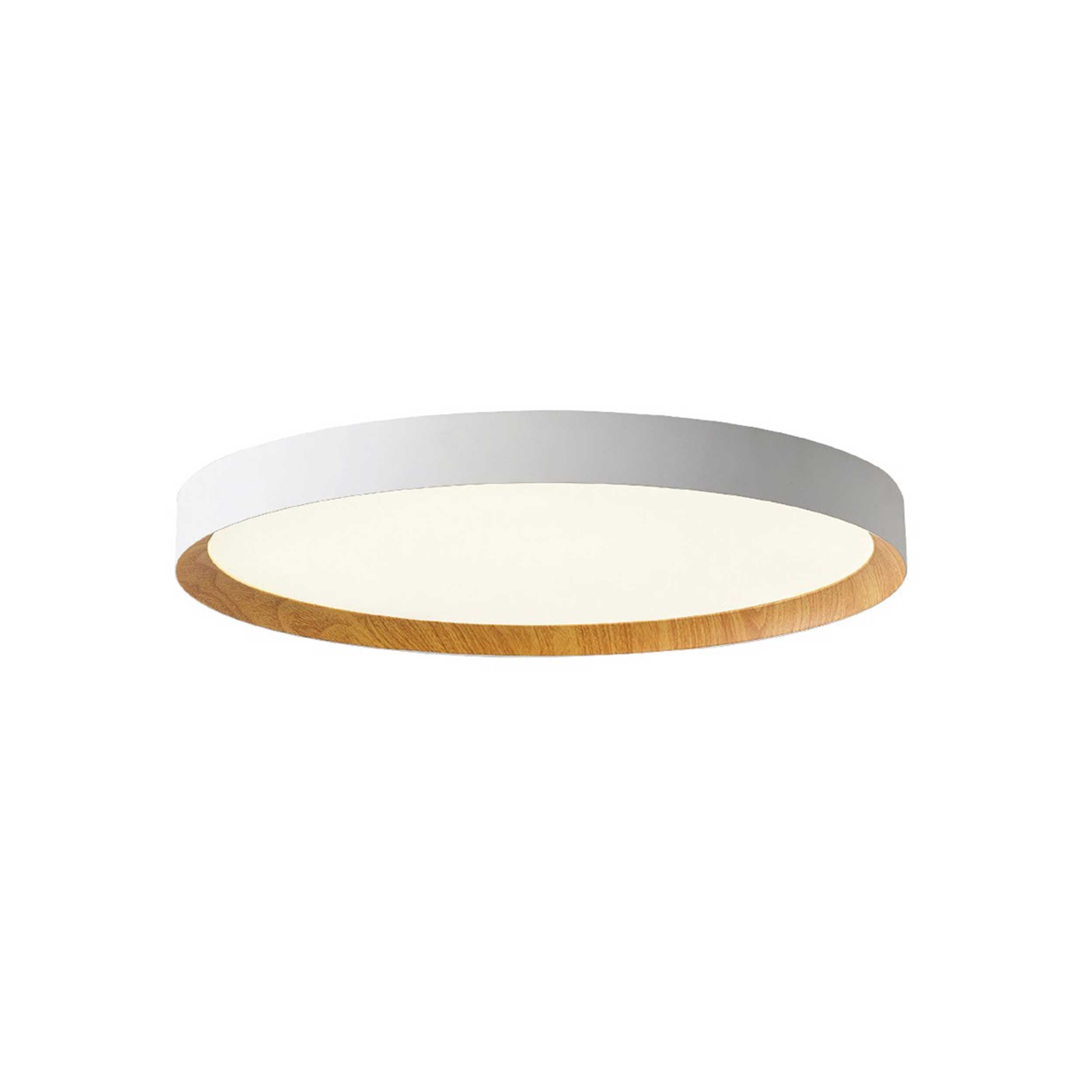 VK Light Eleso LED stropna svjetiljka