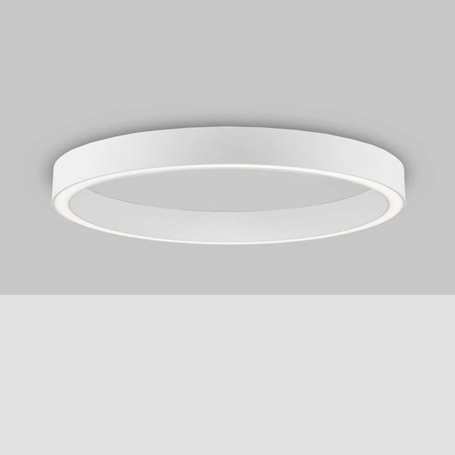 Nova Luce Sting LED kruhové stropní svítidlo stmívatelné