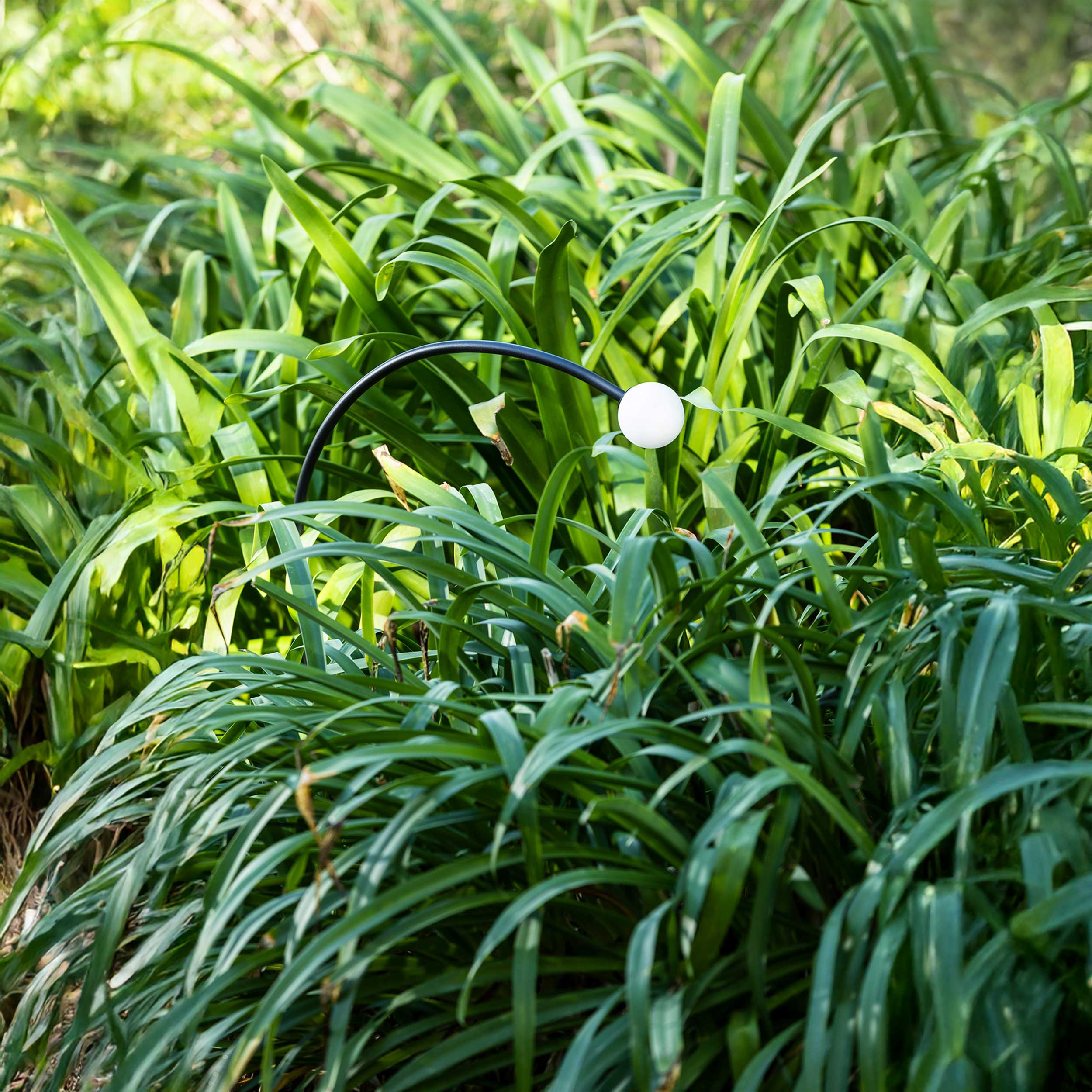 Faro Cuca vanjski LED svjetiljka u obliku luka, stup, IP65, 220-240V