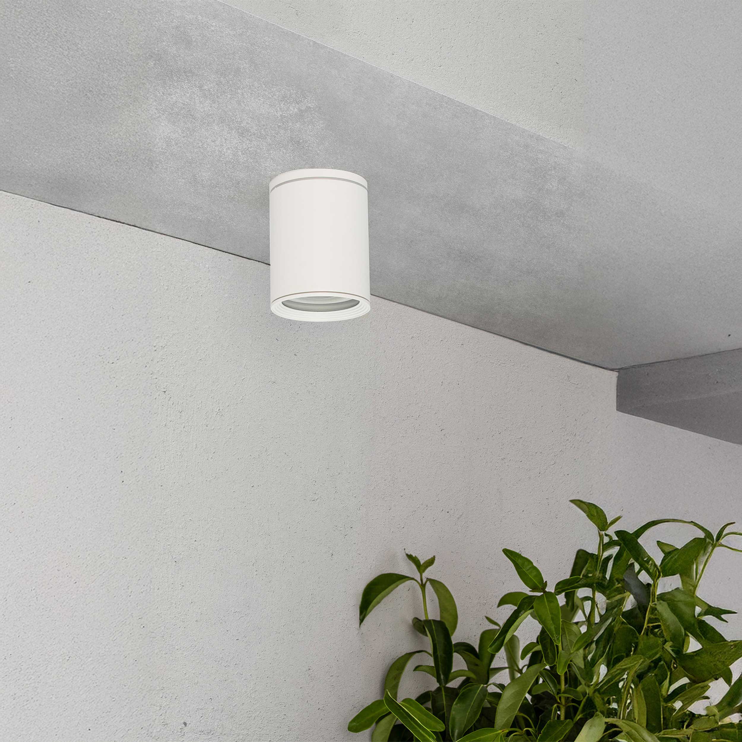 Faro Tasa E27 vanjska stropna svjetiljka IP44