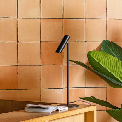 Faro Leo LED stolna lampa