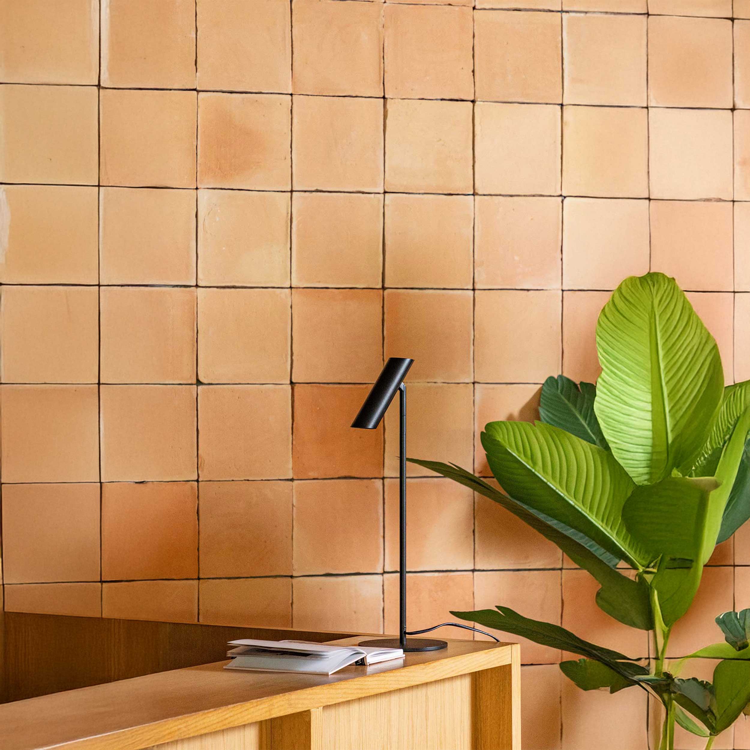 Faro Leo LED stolna lampa