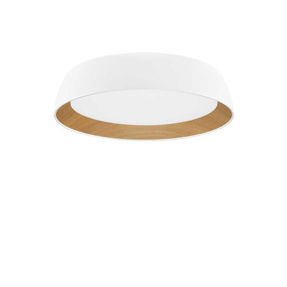 Nova Luce Sigi LED stropna svjetiljka