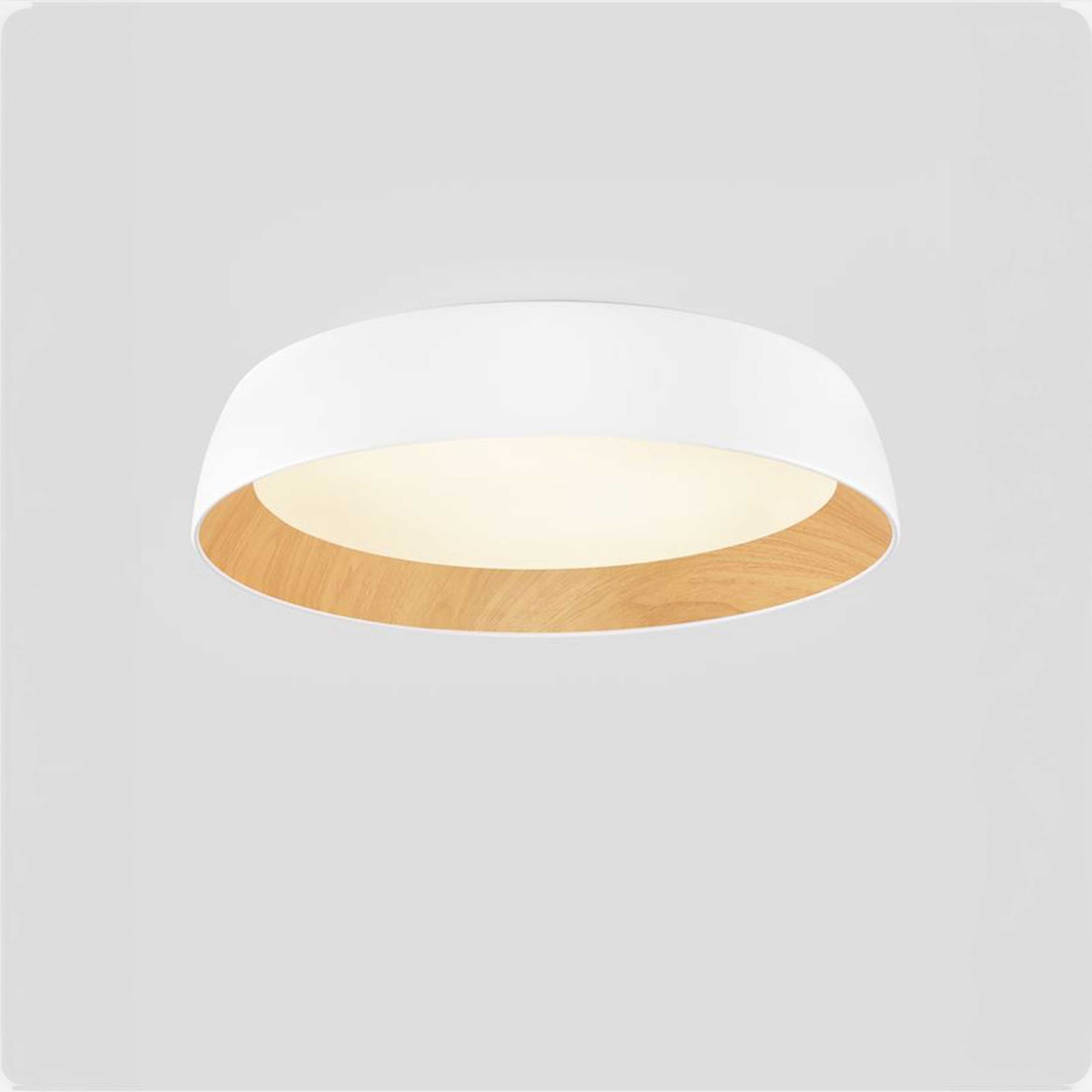 Nova Luce Sigi LED stropna svjetiljka