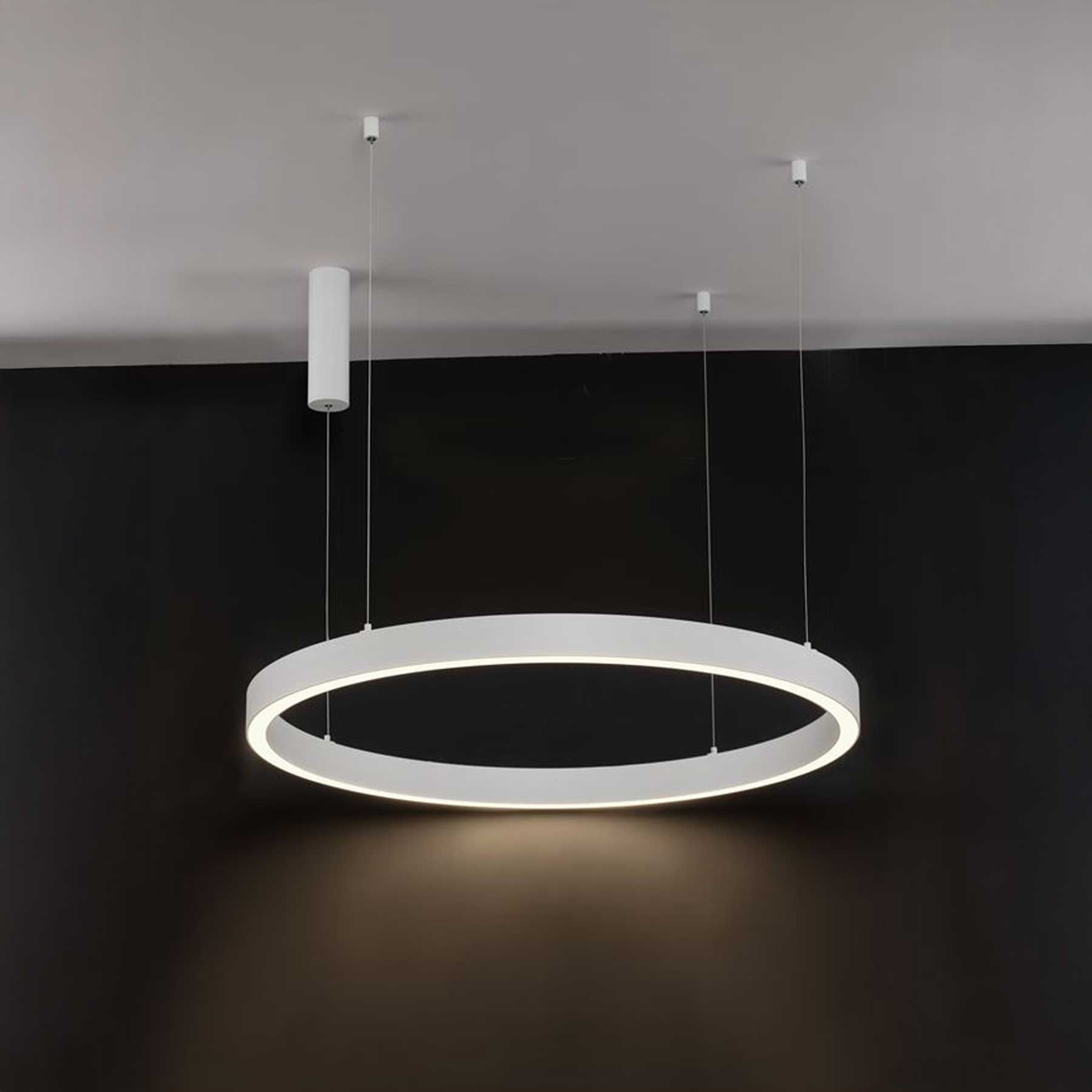 Nova Luce Sting LED kruhové závěsné svítidlo stmívatelné