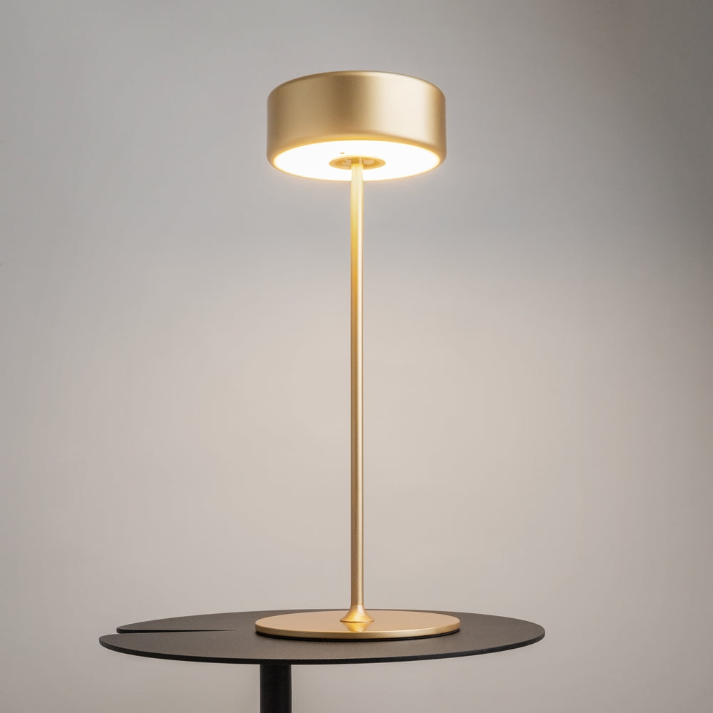 Maytoni AI Collaboration LED prijenosna stolna lampa