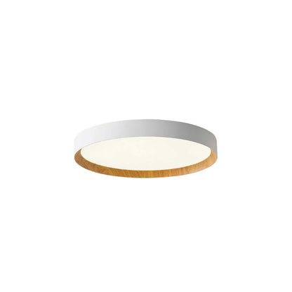 VK Light Eleso LED stropna svjetiljka