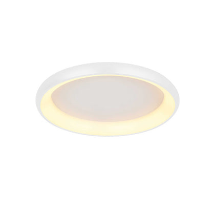 VK Light Hart LED stropna svjetiljka