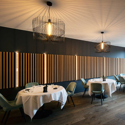 Wever and Ducré Wiro závěsné svítidlo