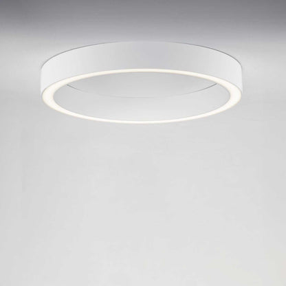 Nova Luce Sting LED kruhové stropní svítidlo stmívatelné