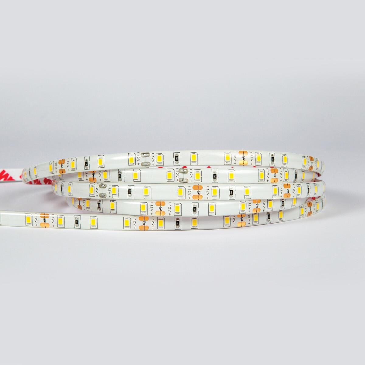 12V LED traka, CRI80, IP55, 6000K (5 m)