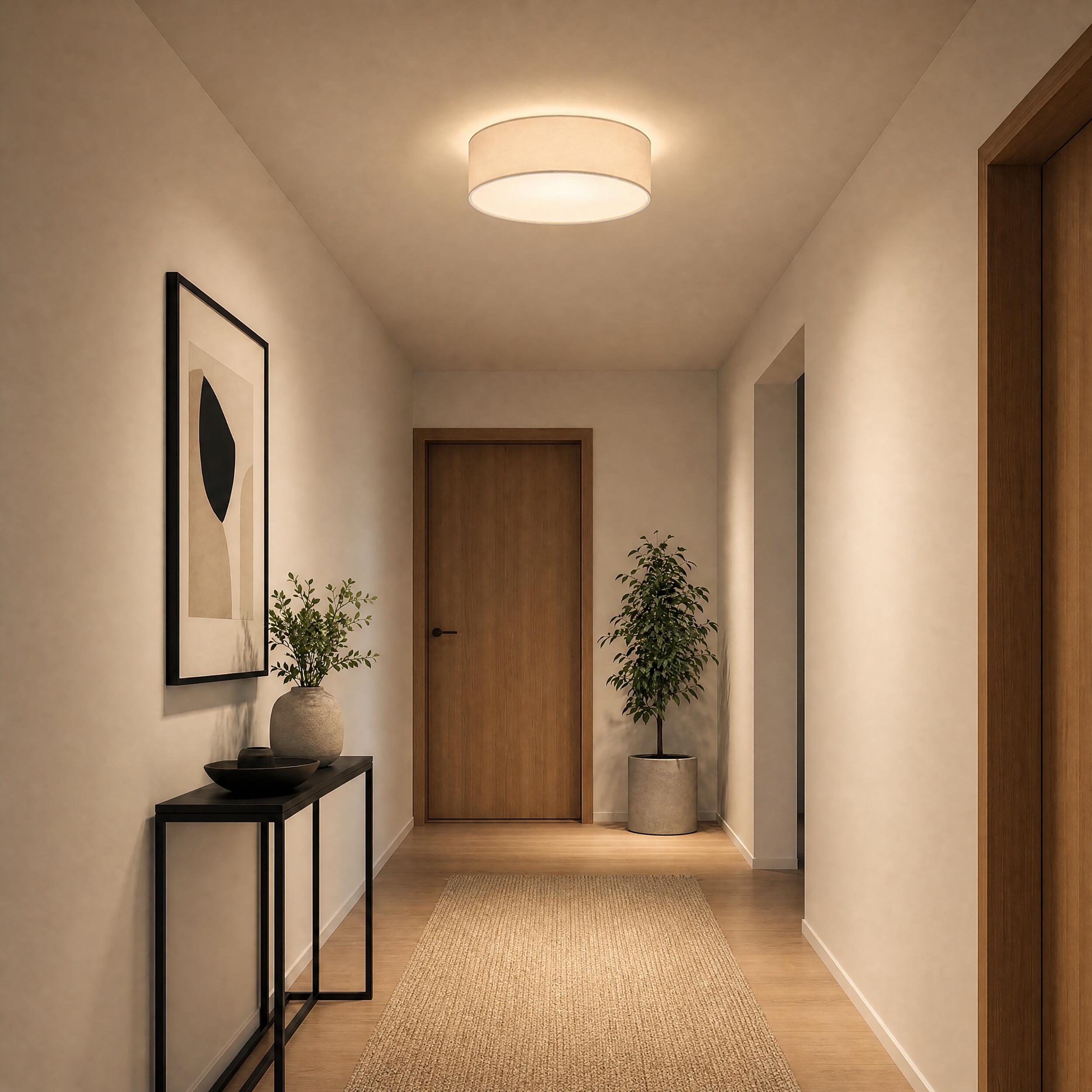 VK Light Reter E27 stropna svjetiljka