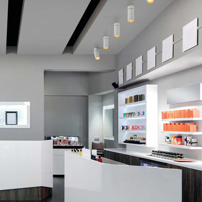 Indeluz Hidra W LED stropní svítidlo