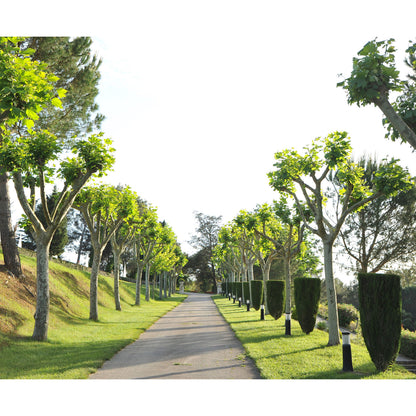 Cristher Mirco E27 sloupkové svítidlo černé