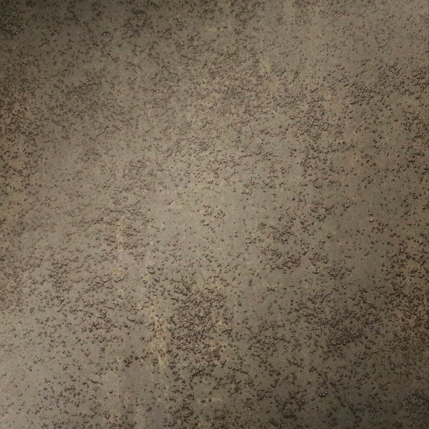 Cristher Dion wall moss LED přisazené svítidlo